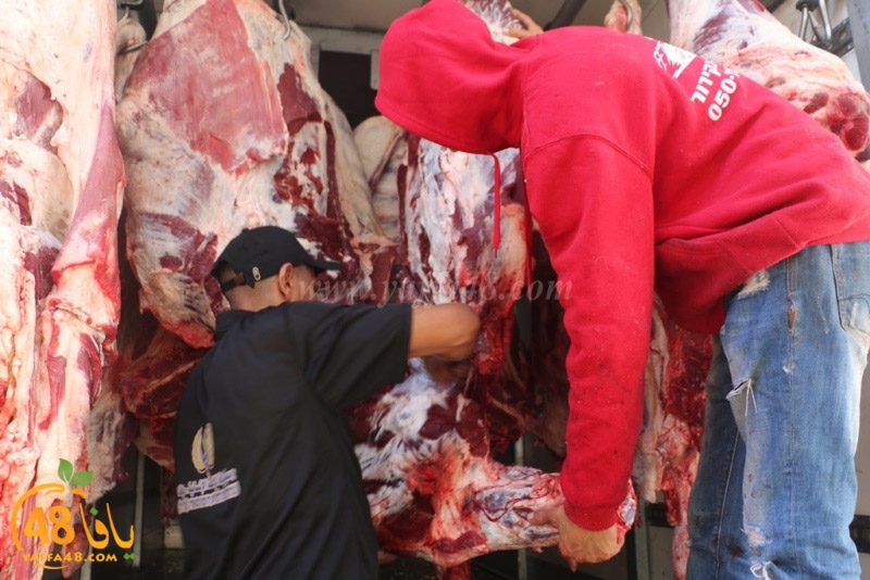 lod8om ada73y (82).JPG